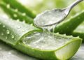 pure aloe vera gel for skin care on fresh leaf